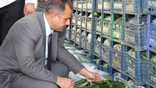 Elazığ'da sera üreticileri bilgilendirildi