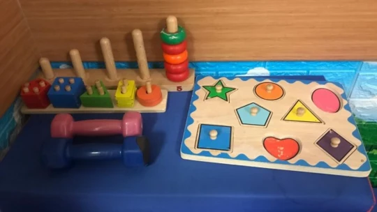 Elazığ'da Serabral Palsi hastası çocuklar 'Duyu bütünleme terapi odasında' tedavi ediliyor