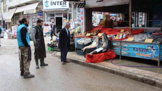 Elazığ'da sezonun son dev turna balığı yakalandı: Tam 103 kilogram
