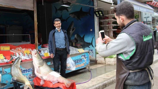 Elazığ'da sezonun son dev turna balığı yakalandı: Tam 103 kilogram