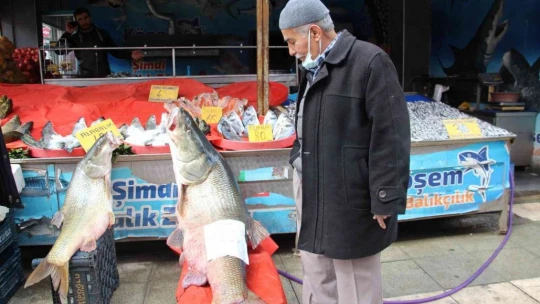 Elazığ'da sezonun son dev turna balığı yakalandı: Tam 103 kilogram