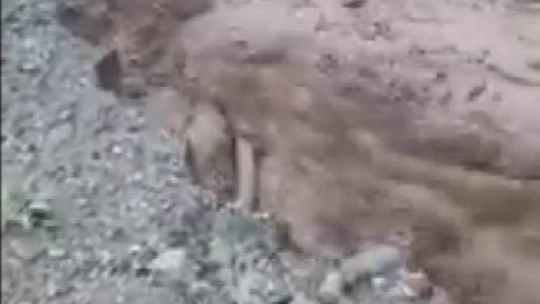 Elazığ'da şiddetli yağış sonrası dere coştu