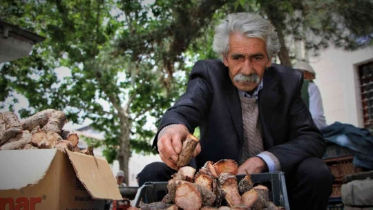 Elazığ'da şifa deposu olarak bilinen ışkın otu kökü tezgahtaki yerini aldı