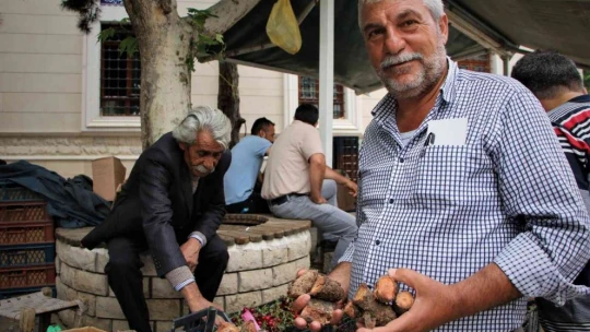 Elazığ'da şifa deposu olarak bilinen ışkın otu kökü tezgahtaki yerini aldı