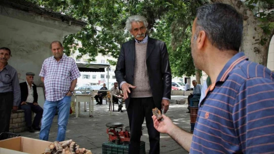 Elazığ'da şifa deposu olarak bilinen ışkın otu kökü tezgahtaki yerini aldı