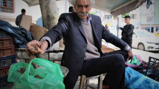 Elazığ'da şifa deposu olarak bilinen ışkın otu kökü tezgahtaki yerini aldı