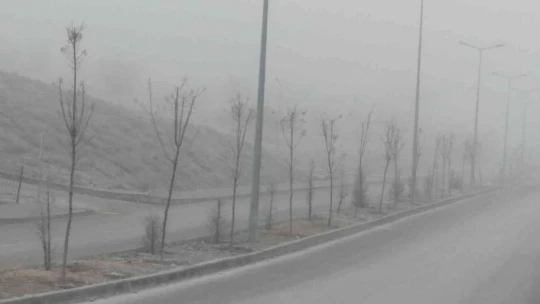 Elazığ'da sis etkili oldu
