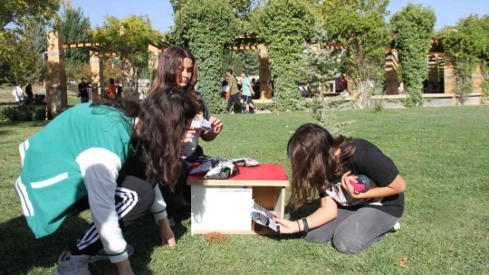 Elazığ'da sokak hayvanları için ev yapıldı