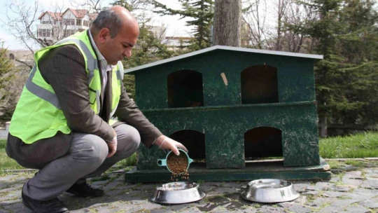 Elazığ'da sokak hayvanları unutulmadı