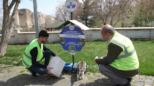 Elazığ'da sokak hayvanları unutulmadı