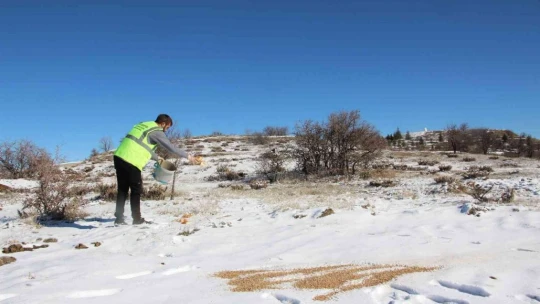 Elazığ'da sokak ve yaban hayvanları için 90 farklı noktaya yem bırakıldı