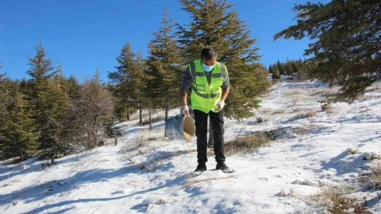 Elazığ'da sokak ve yaban hayvanları için 90 farklı noktaya yem bırakıldı