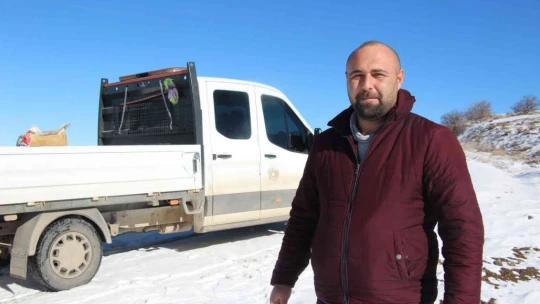 Elazığ'da sokak ve yaban hayvanları için 90 farklı noktaya yem bırakıldı
