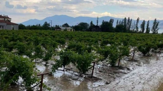Elazığ'da tarım arazilerini sel vurdu