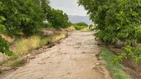 Elazığ'da tarım arazilerini sel vurdu