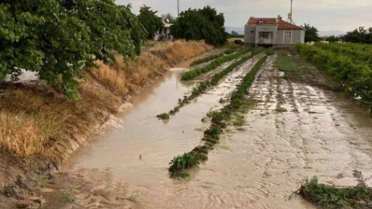 Elazığ'da tarım arazilerini sel vurdu
