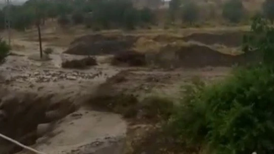 Elazığ'da tarım arazilerini sel vurdu