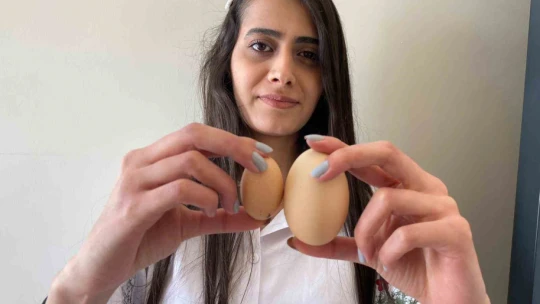 Elazığ'da tavuğun yaptığı mini yumurta şaşırttı