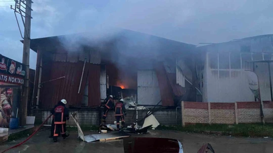 Elazığ'da tavuk fabrikası alev alev yandı