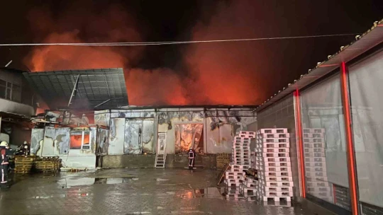 Elazığ'da tavuk fabrikası alev alev yandı