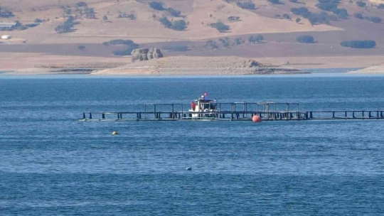 Elazığ'da tekne battı: Tekneyle birlikte suda kaybolan şahsı arama çalışmaları sürüyor