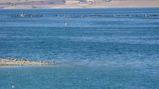 Elazığ'da tekne battı: Tekneyle birlikte suda kaybolan şahsı arama çalışmaları sürüyor