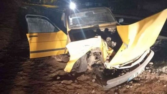 Elazığ'da tren otomobile çarptı: 2 yaralı