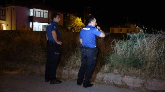 Elazığ'da trenin çarptığı kadın ve çocuk yaralandı