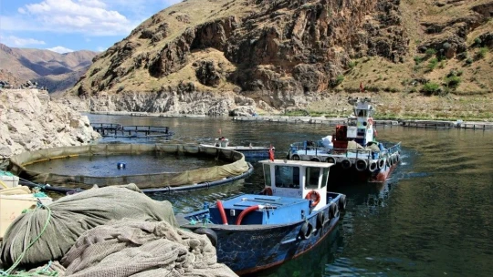 Elazığ'da üretilen 21 bin ton alabalık, Rusya, Almanya, Hollanda ve 25 Avrupa ülkesine ihraç ediliyor
