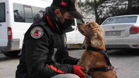 Elazığ'da uyuşturucu tacirlerinin korkulu rüyaları: Alex ve Nina
