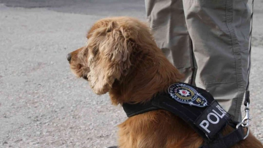 Elazığ'da uyuşturucuya geçit yok: 1 gözaltı