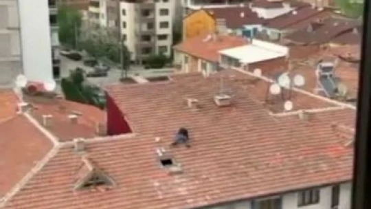 Vatandaşın çatıdaki tehlikeli yürüyüşü