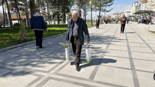 Elazığ'da vatandaşlara 6 bin adet ücretsiz fidan dağıtıldı