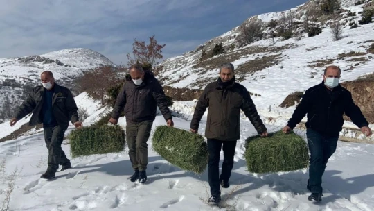 Elazığ'da yaban hayatı için doğaya tonlarca yem bırakıldı