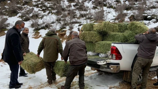 Elazığ'da yaban hayatı için doğaya tonlarca yem bırakıldı