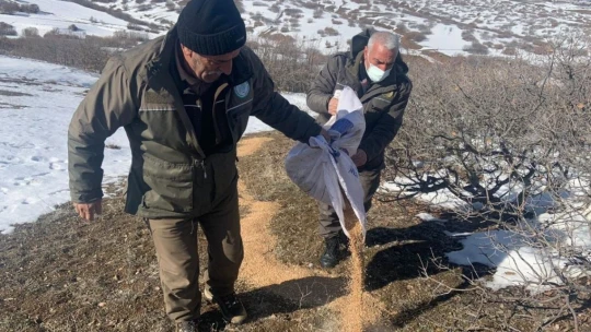 Elazığ'da yaban hayatı için doğaya tonlarca yem bırakıldı