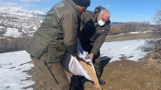 Elazığ'da yaban hayatı için doğaya tonlarca yem bırakıldı