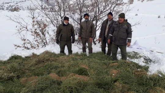 Elazığ'da yaban hayatına bir ayda 7 ton yem bırakıldı