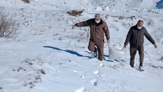 Elazığ'da yaban hayvanları için doğaya yem bırakıldı