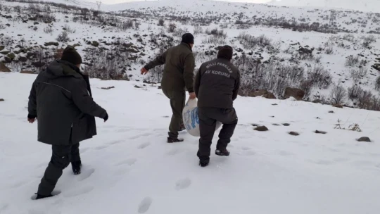 Elazığ'da yaban hayvanları için doğaya yem bırakıldı