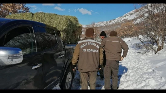 Elazığ'da yaban hayvanları için doğaya yem bırakıldı