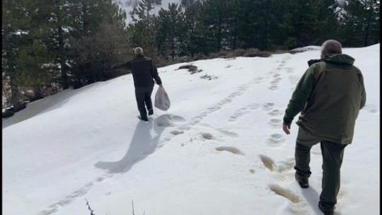 Elazığ'da yaban hayvanları için doğaya yem bırakıldı