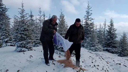 Elazığ'da yaban hayvanları için doğaya yem bırakıldı