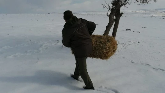 Elazığ'da yaban hayvanları için doğaya yem bırakıldı