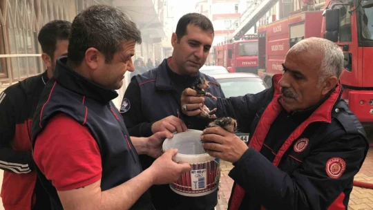 Elazığ'da yangın: 3 ev kullanılamaz hale geldi