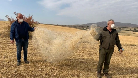 Elazığ'da yasa dışı avcılık yapan 6 kişiye ceza kesildi