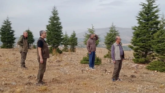 Elazığ'da yasa dışı avcılık yapan 6 kişiye idari işlem uygulandı