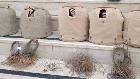 Elazığ'da yasa dışı avcılık yapan 4 kişi yakalandı