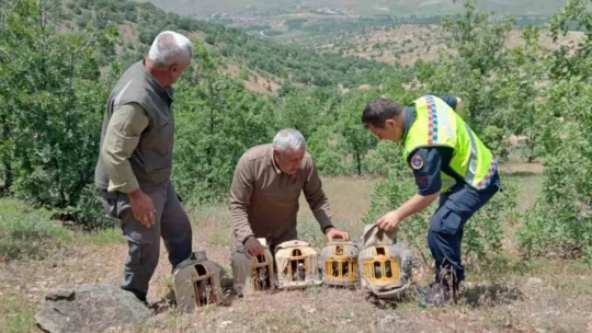 Elazığ'da yasa dışı avcılık yapan 4 kişi yakalandı