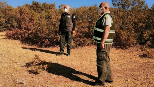 Elazığ'da yasa dışı avlanan 2 kişiye ceza kesildi, 2 otomatik tüfeğe el konuldu